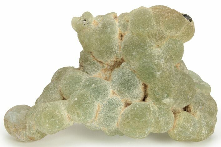 Botryoidal Prehnite - Mali #219508